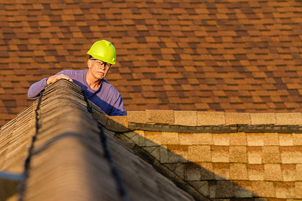 Best Roof Leak Repair  in Dekal, IL